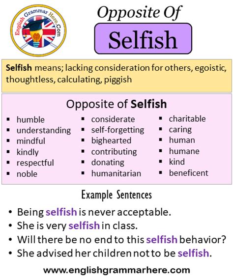 selfish antonym|define selfish.